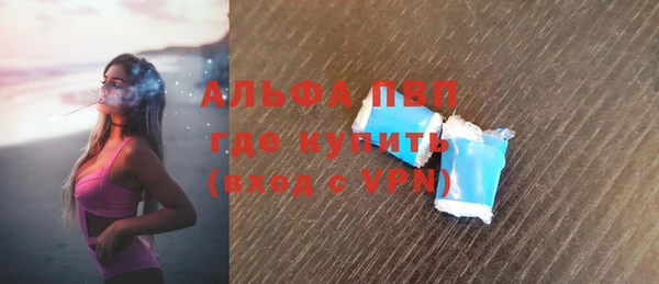 прущие грибы Приозерск